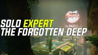 Destiny 2: Solo Expert The Forgotten Deep Lost Sector (Episode: Echoes)