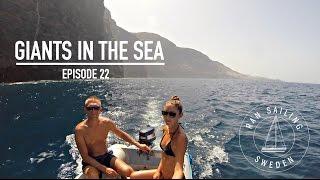 Giants in the sea - Ep. 22 RAN Sailing