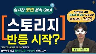 [코주부투데이] 스토리지, 반등 시작?