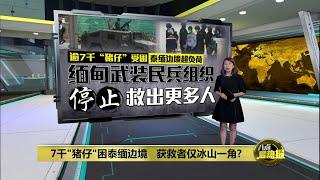 困泰缅边境人数已超负荷   缅甸武装民兵组织停止救更多"猪仔" | 八点最热报 28/02/2025