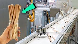 Process of Mass Production of Eco-friendly Paper Straws. Korea Straw Factory