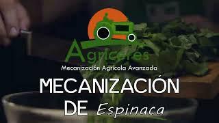 Mecaniza tu producción de espinaca con AGRICERES