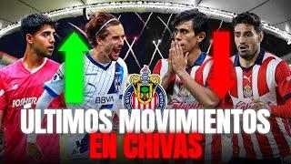 MOVIMIENTOS EN CHIVAS ¡CON TODO POR CORTIZO! DESTINO JJ MACIAS, ¿SE VA EL POLLO?