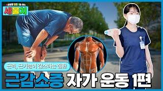 근력, 근기능이 감소하는 '근감소증' 상체 근력 자가 운동법 소개