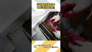 [550만] 싼 게 비지떡? 결코 싸지도 않은 물난리 난 건식난방 #shorts #건식난방 #습식난방 #리모델링