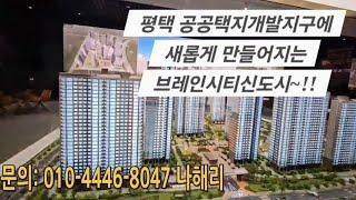브레인시티중흥S-클래스