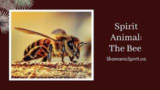 Animal Spirit Guide - The Honeybee (Shamanic Power Animal). Bee Symbolism