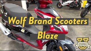 Wolf Blaze Highlights | 50cc Scoot at University Scooters