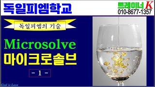 [독일피엠학교]-마이크로솔브(microsolve) (독일PM-피엠인터내셔널)