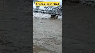 Vijayawada Krishna River Flood #traintravel #railway #flood #shorts #krishnariver #ytshorts #facts