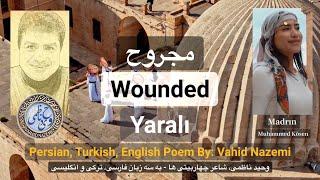 Vahid Naemi - Wounded