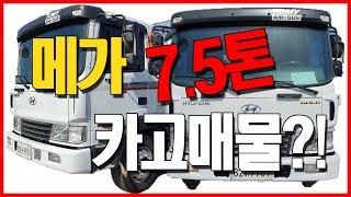 [화물차 매매] 메가 앞축 카고트럭! [Car] Mega cargo truck! | 천지화물, TRUCK&PLANT TRADE