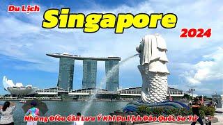 Hướng Dẫn Du Lịch Singapore 2024 | Review Đảo Sentosa - Công Viên Sư Tử Biển Merion Park