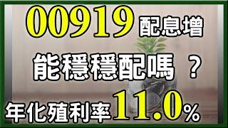 00919 配息11%太誘人了，但還能維持多久，杉本計算給你看