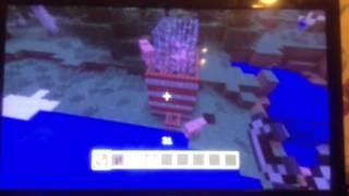 The funniest thing I ever done in minecraft