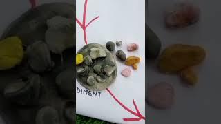 rock cycle model ch-inside our earth(geography) #class6#class7#trending#class9#class10#ytshorts