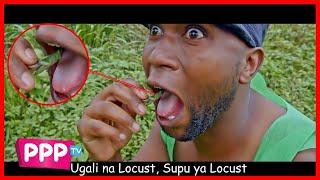 LOCUST PARODY - INNOSS'B FT DIAMOND PLATNUMZ YOPE REMIX