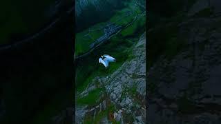 Gainer BASE jump, low ultimate, Lauterbrunnen Switzerland