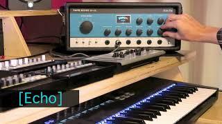 Echo Fix EF-X2 Tape Echo - Chorus Demo