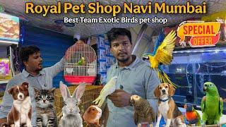 Royal pet shop Panvel navi Mumbai Special Offer #brids #exoticbirds #aquarius #pets