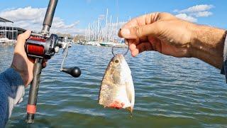 4 Hours of RAW and UNCUT Kayak Catfishing with LIVE Gizzard Shad | Winter Creek Fishing