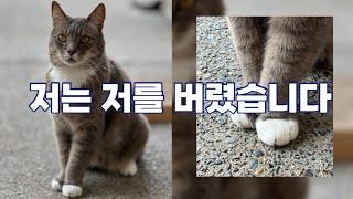 저는 저를 버렸습니다 / 저저버 냥이