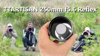 Having fun with TTARTISAN’s new compact 250mm reflex mirror lens.