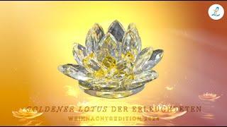 Goldener Lotus der Erleuchteten - Litios Weihnachtsedition 2024