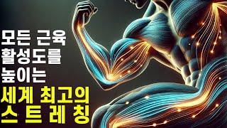 단 하나의 스트레칭만 선택하라면? 세계에서 가장 위대한 스트레칭