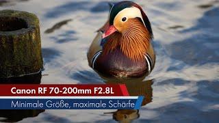 Canon RF 70-200 mm f/2.8L IS USM | Kompaktes Tele-Zoom-Objektiv im Test [Deutsch]