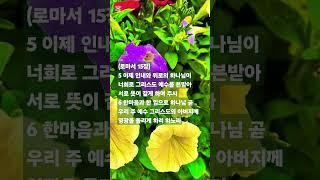 말씀찬양 롬 15:5-6 인내함으로 부르심의 소망을 이루라