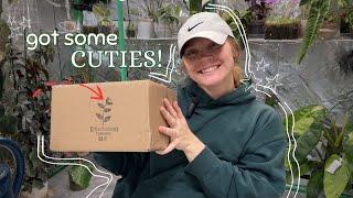 Unboxing Rare Plants!