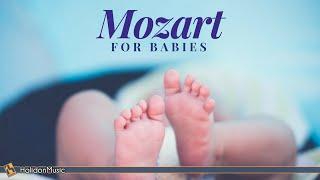 Mozart for Babies - Brain Development & Pregnancy Music