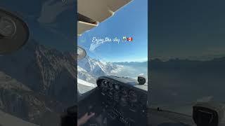 Enjoy the sky  canada #shortvideo #travel #youtubeshorts #youtube #pilot #plane