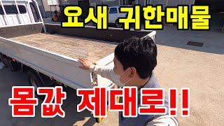 부산 3.5톤카고 중고상용화물차트럭 매매 매입