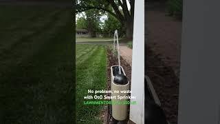 Narrow Line Watering with OtO Smart sprinkler #garden #lawn #satisfying #oddlysatisfying #diy