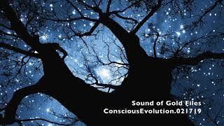 Sound of Gold Files: ConsciousEvolution.021719