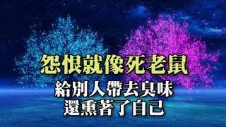 怨恨，是一袋死老鼠｜從心閱讀 │ 聽好聽的音樂，讀有溫度的文字 #人生哲學    #修身  #智慧