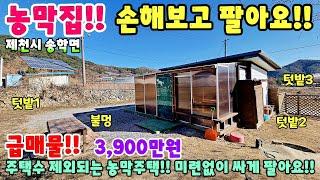 763. 싼집!! 주택수에 안들어가는 농막주택 주말농장 나만의 놀이터를 만들기!! 제천시 송학면 주택매매 단독주택 제천부동산 제천토지매매 제천전원주택매매 제천주택매매 시골집 촌집