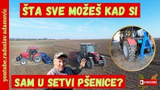 ŠTA SVE MOŽEŠ KAD SI SAM U SETVI PŠENICE? ; WHAT CAN YOU DO WHEN YOU ARE ALONE IN THE WHEAT SOWING?