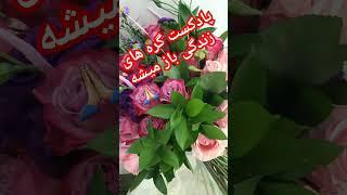 مشکلات زندگی نابود میشه با دیدن این کلیپ #پادکست #عشق #رفاه #آموزش