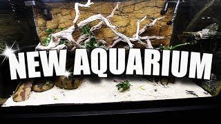 NEW AQUARIUM SCAPE!!