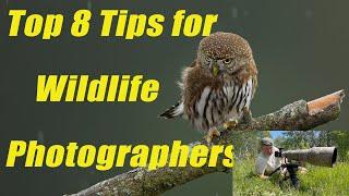 TOP 8 TIPS for Wildlife Photographers.#wildlifephotography #wildlifeconservation #wildlifefilmmaker