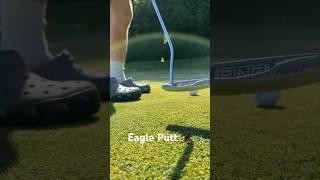 Eagle Putt  #pga