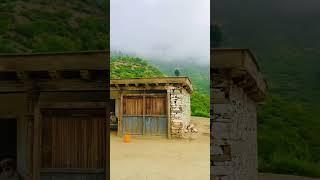 Village life in Afghanistan  #life #youtubeshorts