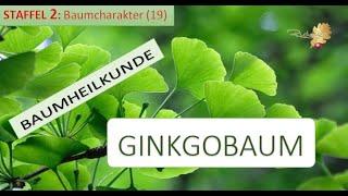 Der GINKGOBAUM - Macht und Geheimnis der Beobachtung - Doris Richter