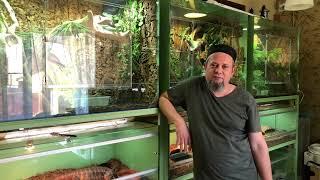 Всем привет! Давайте знакомиться! Мы представляем питомник рептилий «Звериный дом»
