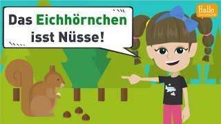 Deutsch lernen A1 und A2 | Wörter mit den Umlauten ä, ö und ü | Wortschatz und Grammatik üben!