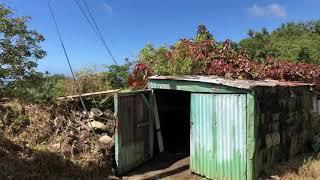 Dominica - Trafalgar Falls and a drive around the island - D M