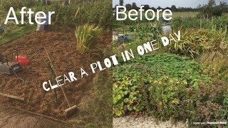 How To Clear An Allotment In One Day (Davids Plot)